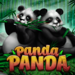 panda-panda-qqsutera
