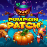 pumpkin-patch-qqsutera